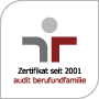 Audit Logo